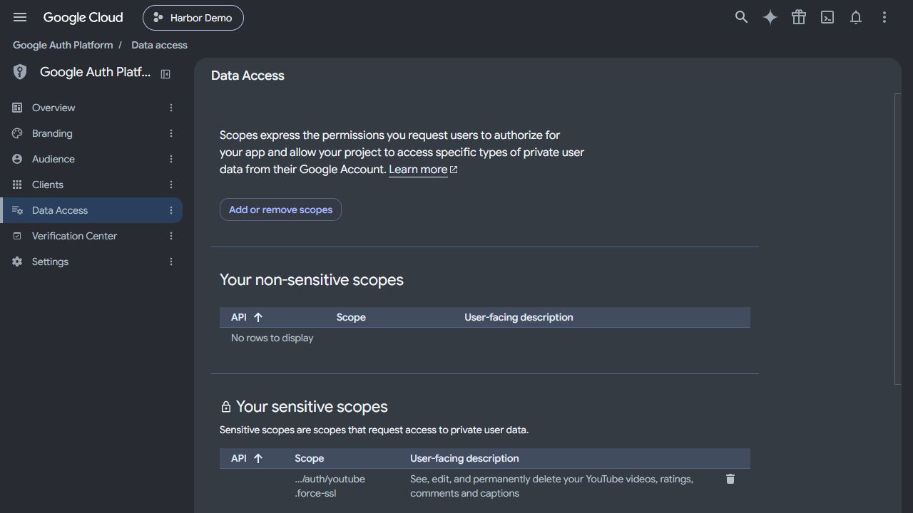 Data Access 頁面的 Add or remove scopes 與 sensitive scopes 區塊
